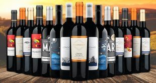 Cabernet Sauvignon wine bottles discount