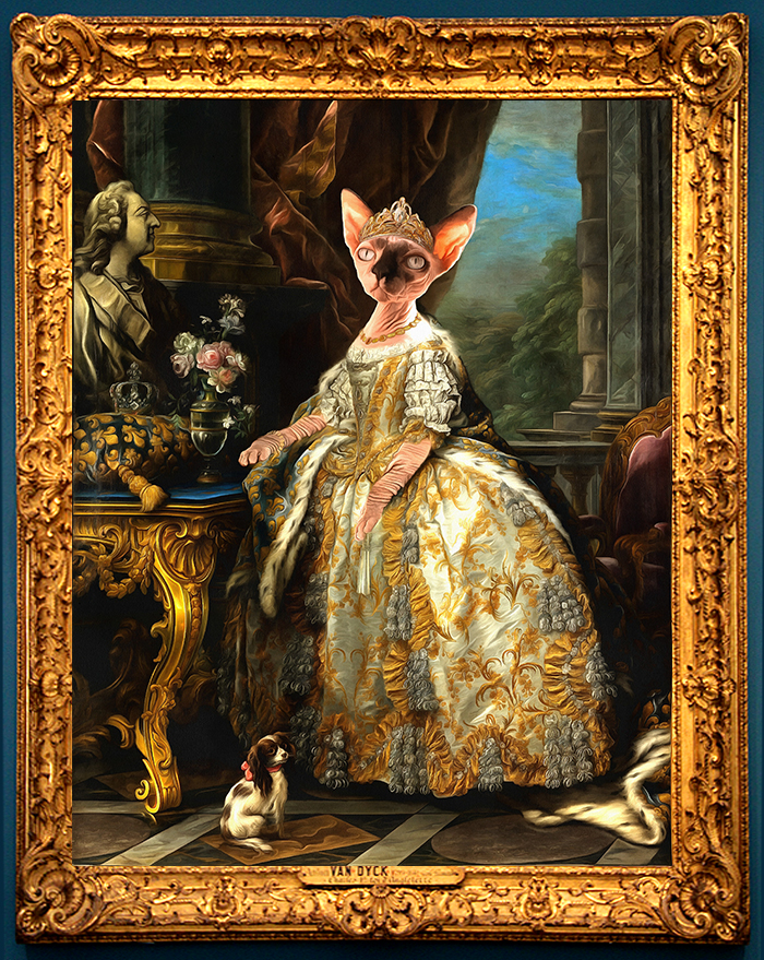 Royal cat portrait from photo