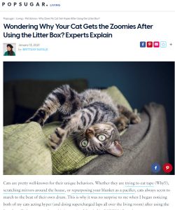 make money from photos of your pets at home